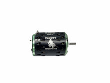 Load image into Gallery viewer, Trinity Monster Horsepower Certified 17.5T 1/10 Scale Brushless Motor #18991