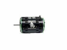 Load image into Gallery viewer, Trinity Monster Horsepower Certified 17.5T 1/10 Scale Brushless Motor #18991
