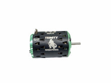 Load image into Gallery viewer, Trinity Monster Max Roar Spec Brushless 1/10 Scale 13.5T Motor Rc Part #19006
