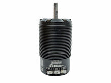Load image into Gallery viewer, Tekin Redline T8 Gen 3 1/8 Scale Brushless Sensored 2050KV Buggy Motor #18739
